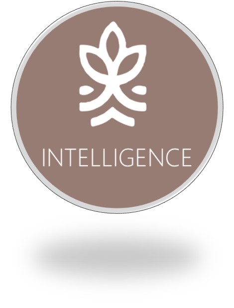 log_intelligence